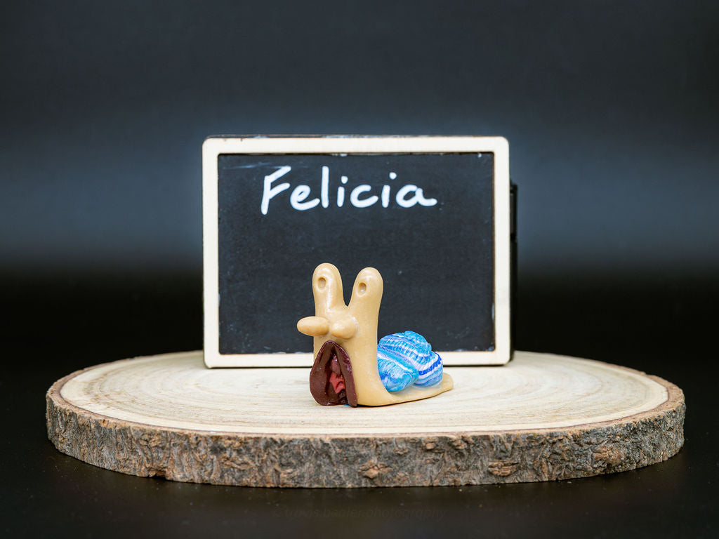 Small figurine of a snail with a shell on a wooden base in front of a blackboard with 'Felicia' written on it.