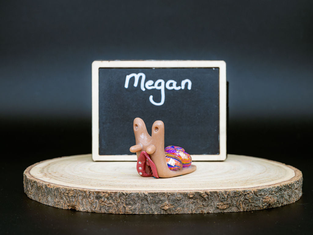 Small snail with piercings and a decorative shell on a wooden platform in front of a chalkboard with the name 'Megan' written on it