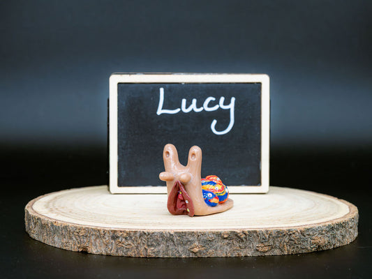 Small figurine of a snail with a shell labeled 'Lucy' in front of a blackboard on a wooden base.