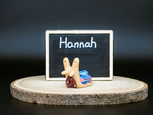 Small snail with a decorative shell on a wooden platform in front of a chalkboard with the name 'Hannah' written on it