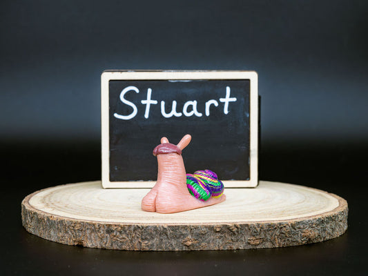Small snail with a decorative shell on a wooden platform in front of a chalkboard with the name 'Stuart' written on it