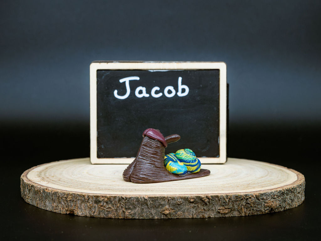 Jacob