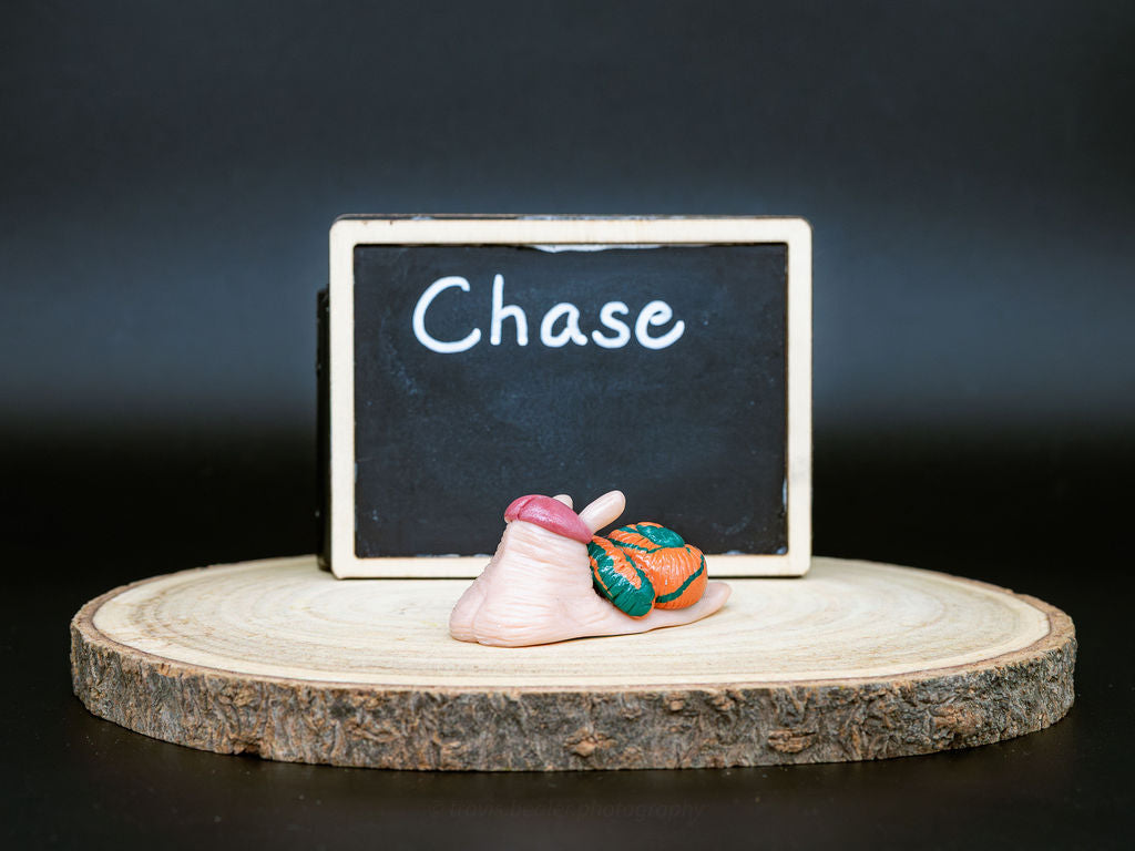 Chase