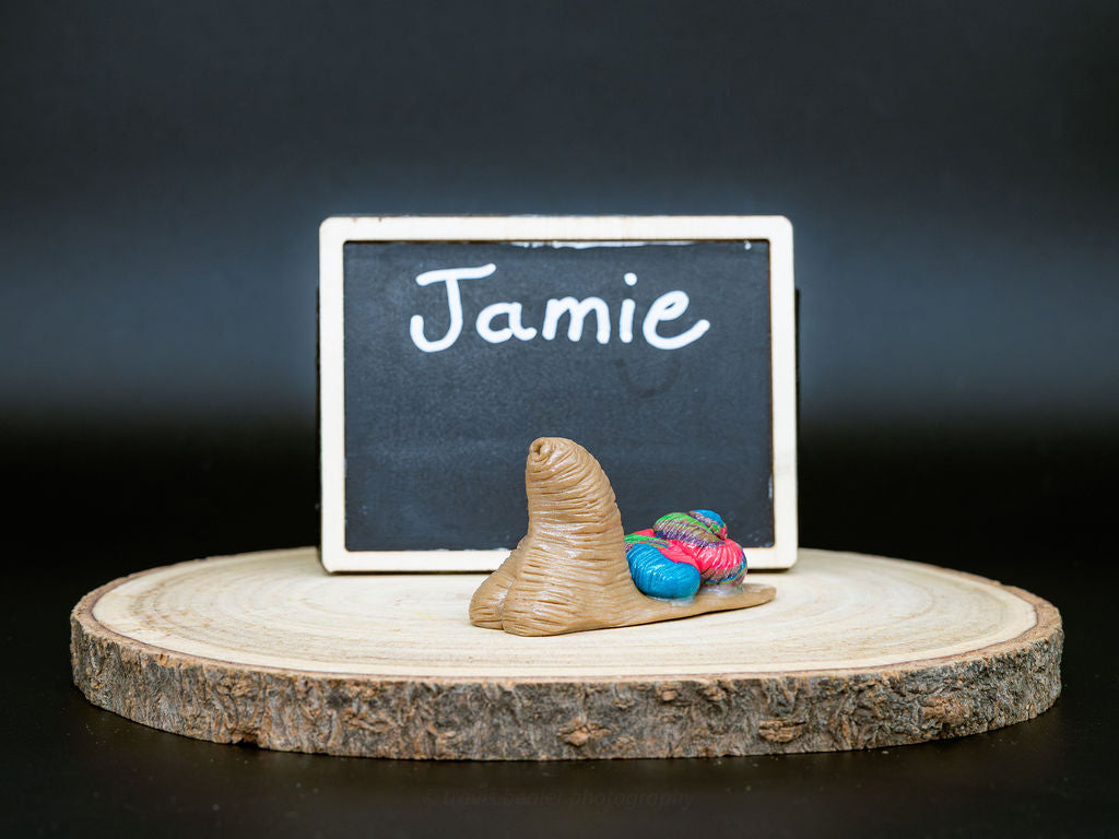 Jamie