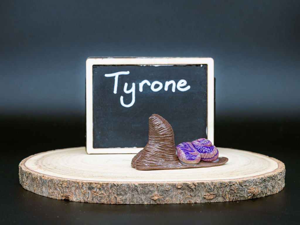 Small snail with a decorative shell on a wooden platform in front of a chalkboard with the name 'Tyrone' written on it