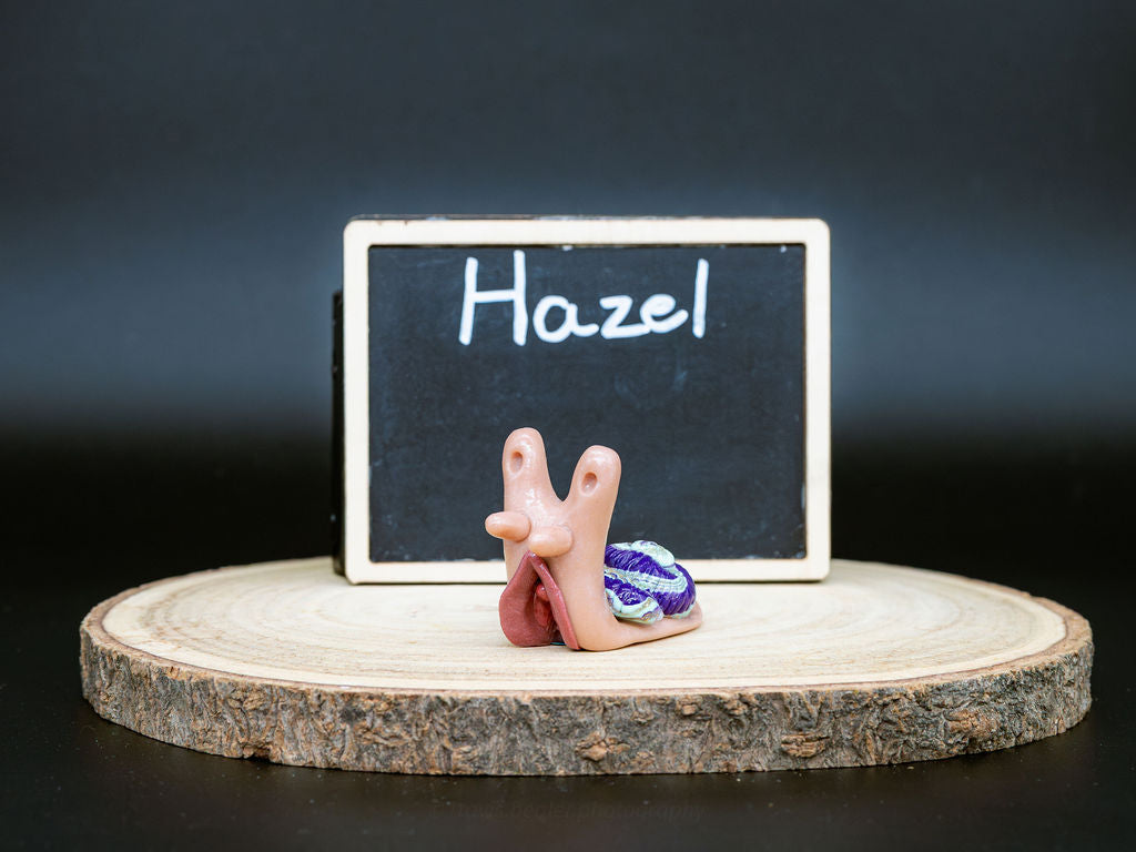 Hazel