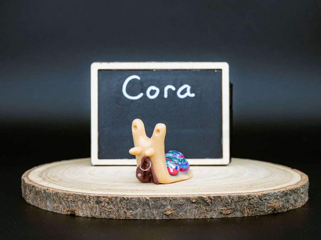 Small snail with piercings and a decorative shell on a wooden platform in front of a chalkboard with the name 'Cora' written on it