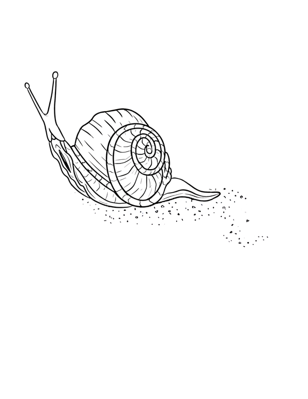 Following Snail Trails